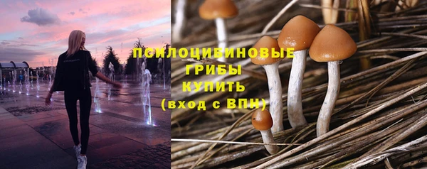 ECSTASY Вязники